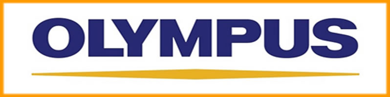 Mount olympus logo icon vector image 12874671 Vector Art at Vecteezy